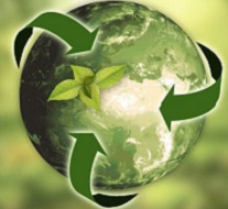 Caffè Arabica e sostenibilità