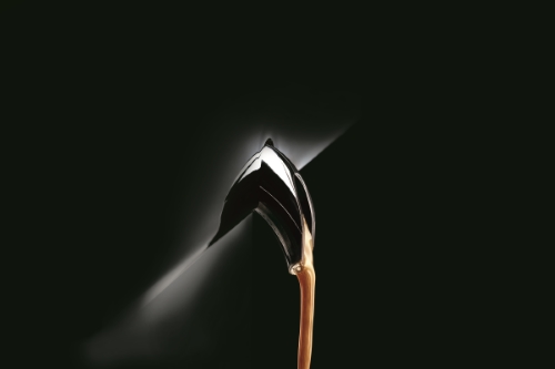 Un caff&egrave; tracciabile