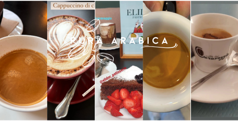 il caff&egrave; pura arabica